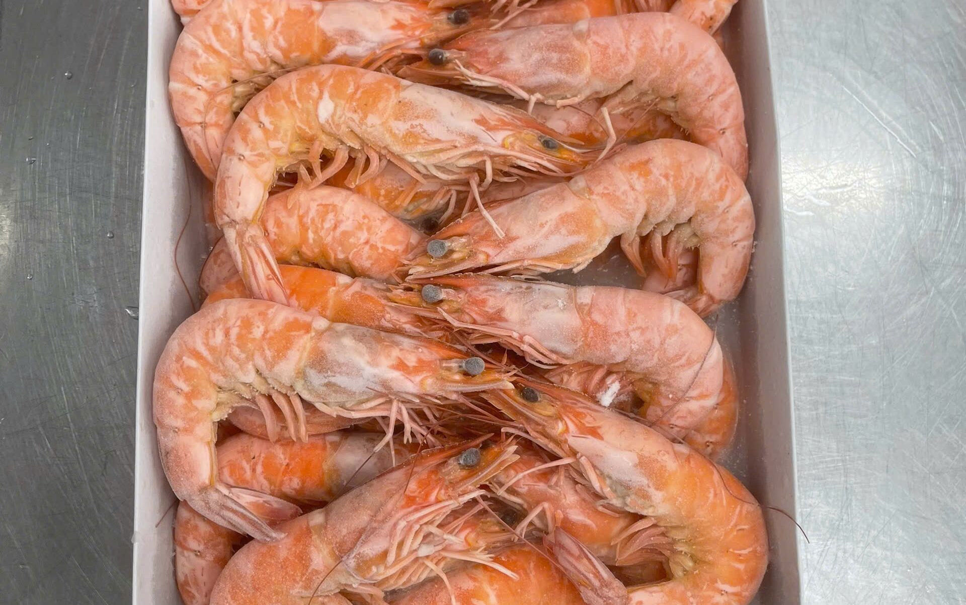 Cooked Whole Tiger Shrimp Frozen Box