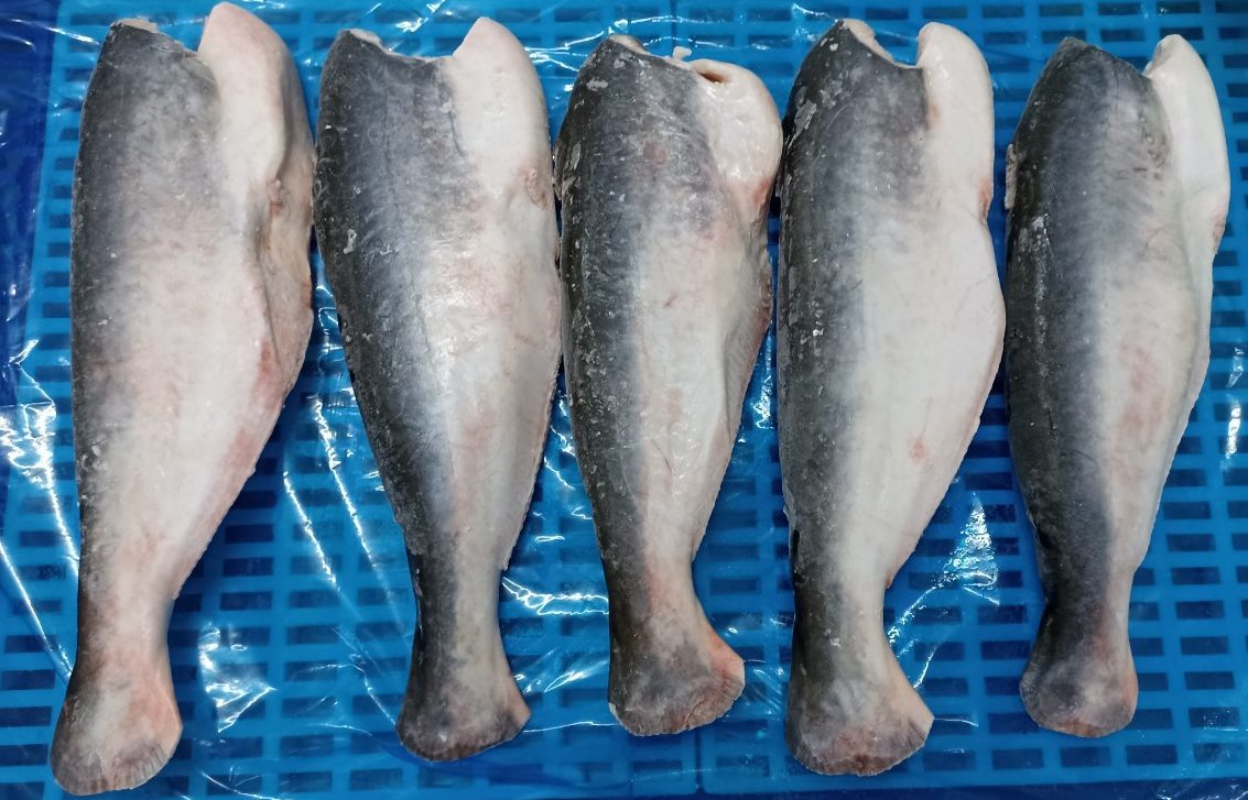 Frozen Headless Basa Fish