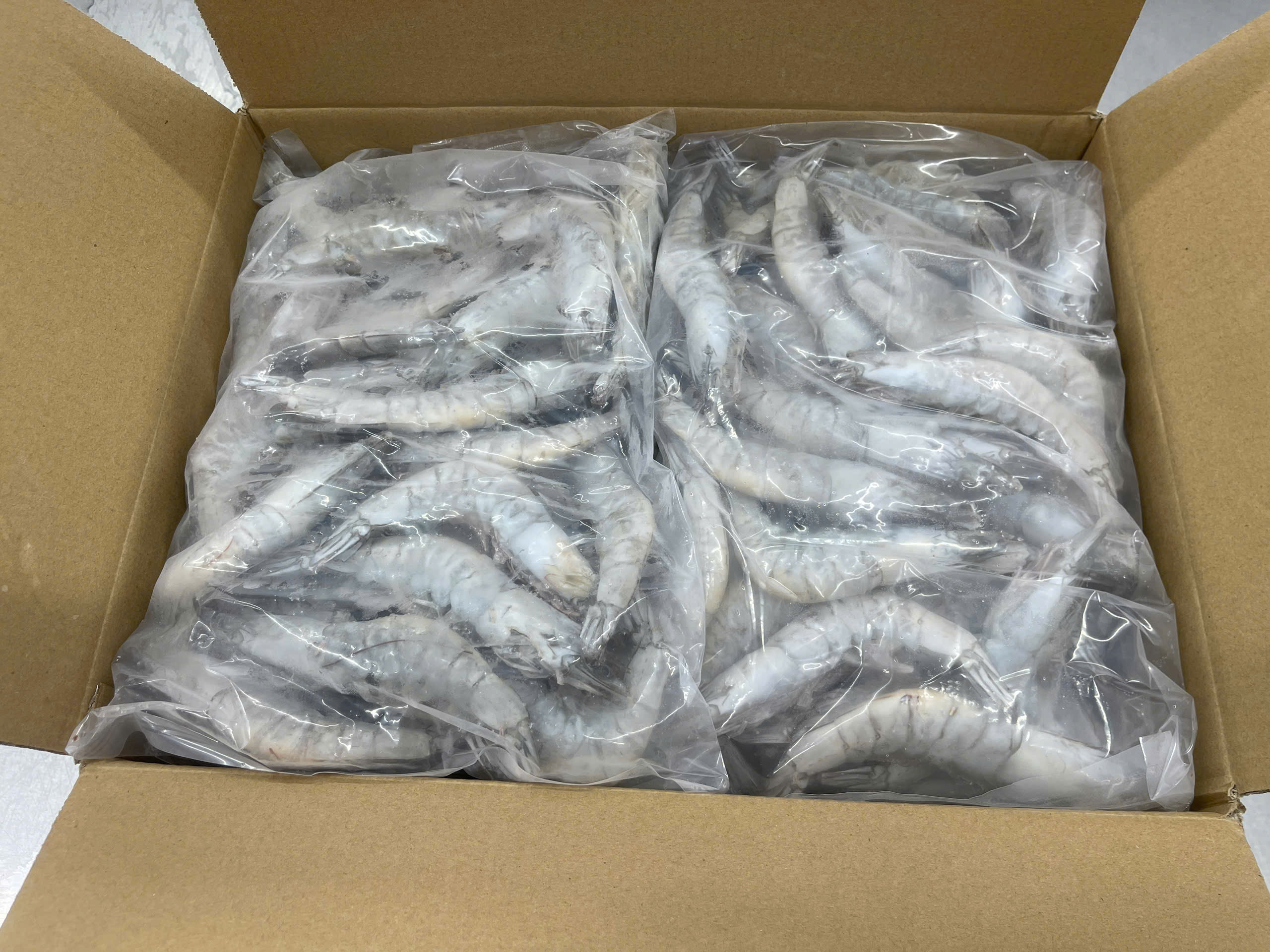 Frozen Oxy White Leg Shrimp IQF