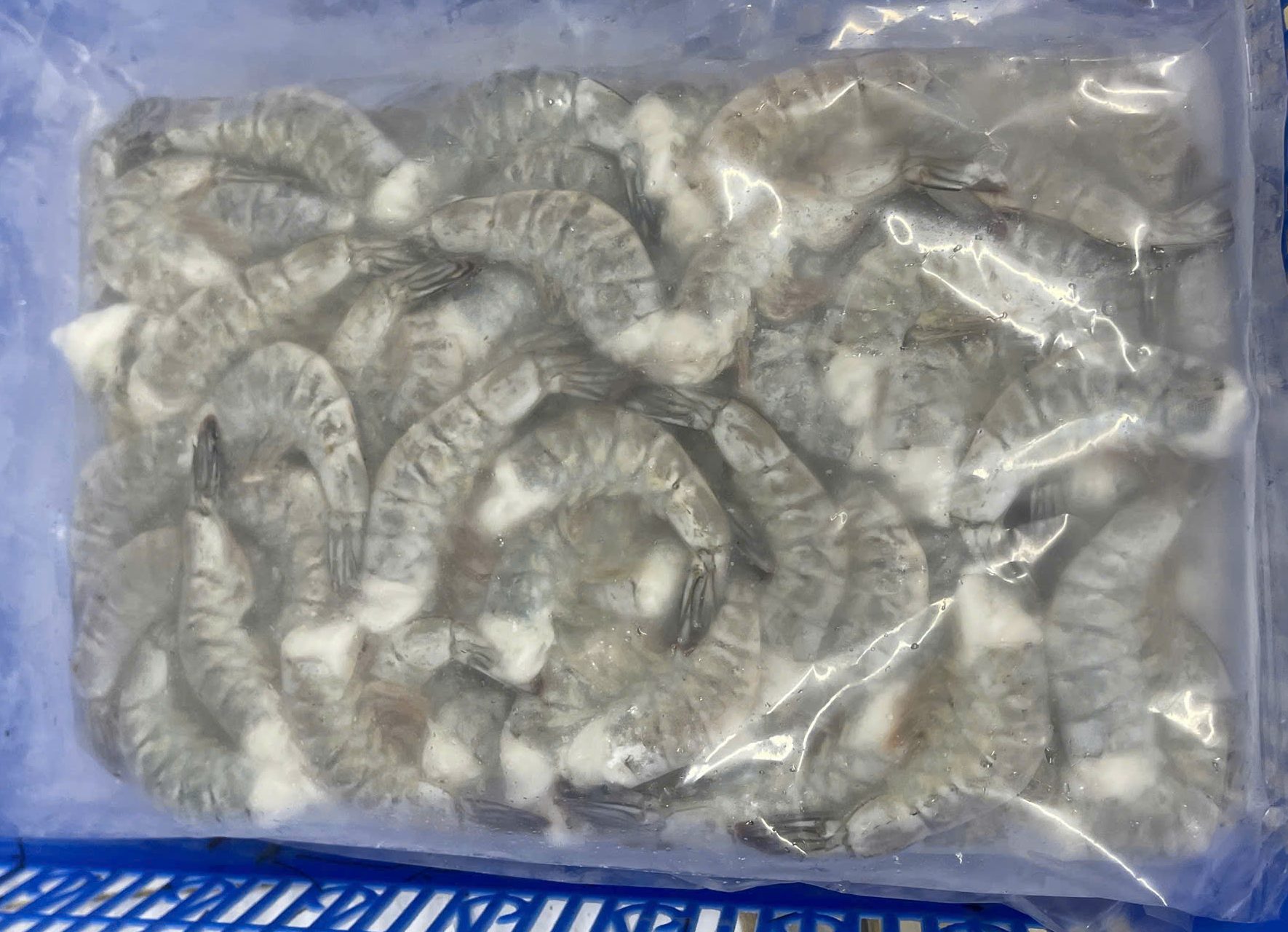 Frozen Headless White Leg Shrimp