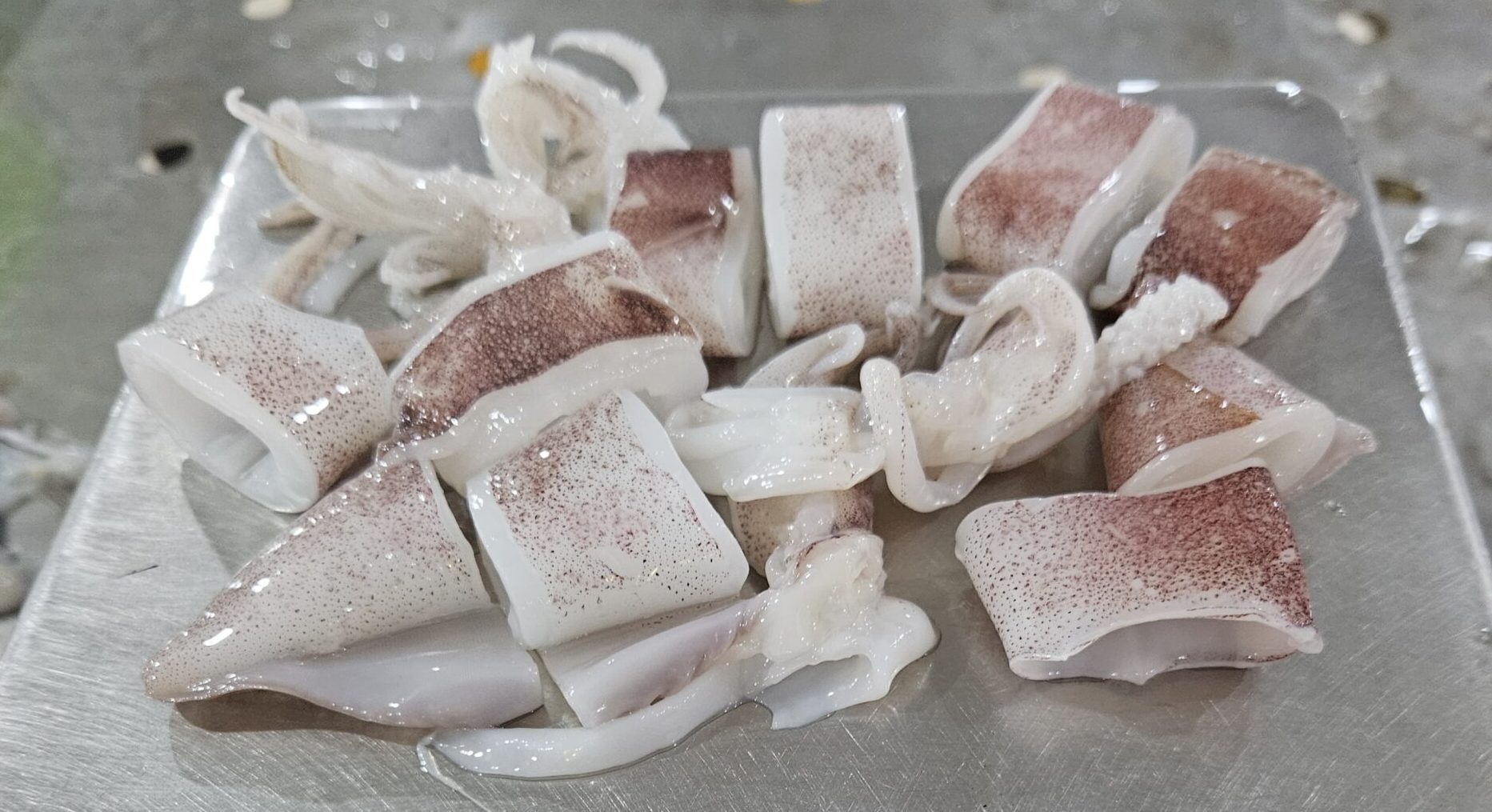 Frozen Cleaned Cut Squid