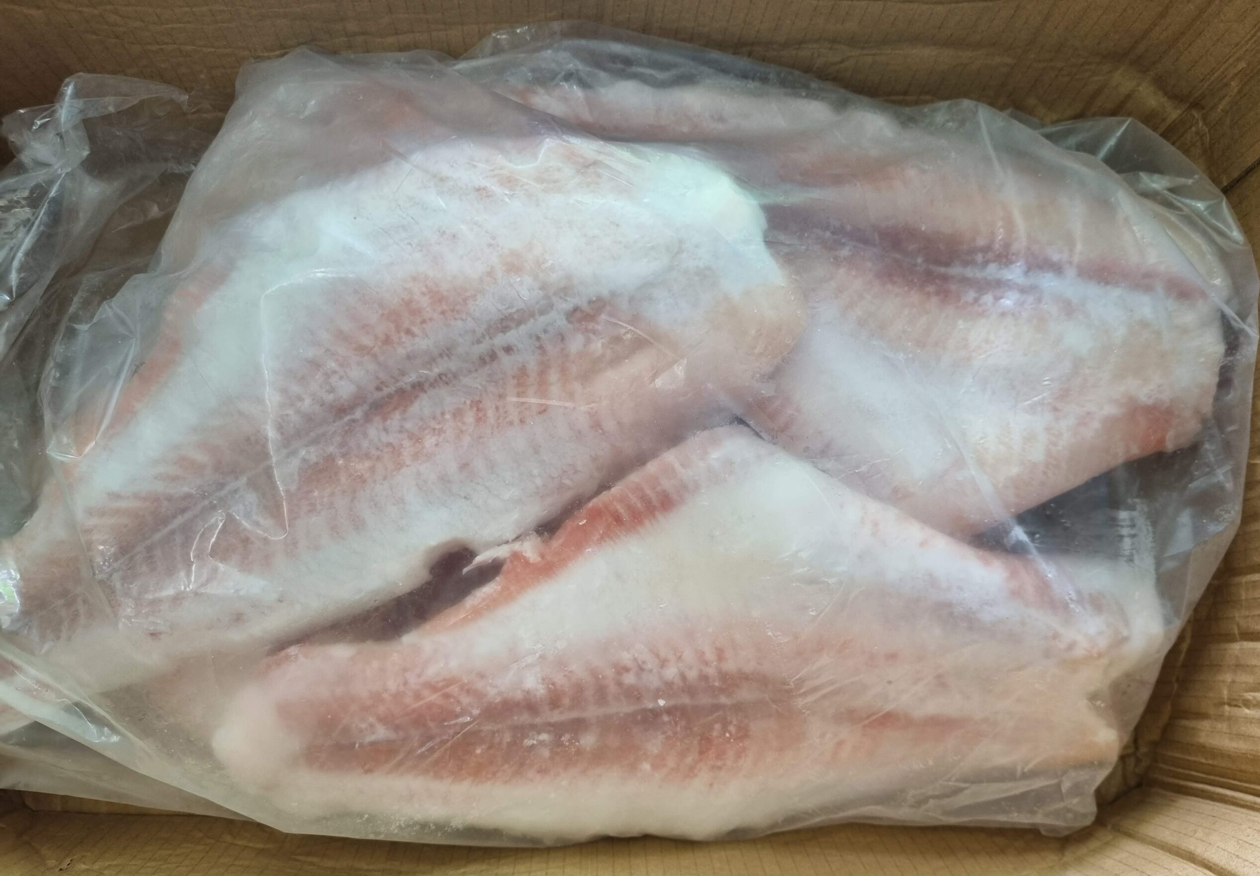 Frozen Basa Fish Fillet