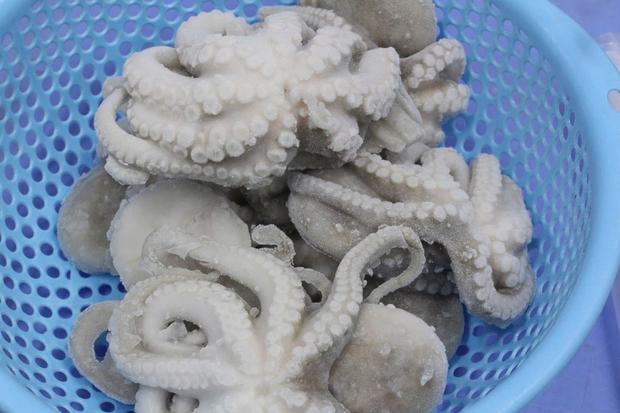 Frozen Cleaned Octopus