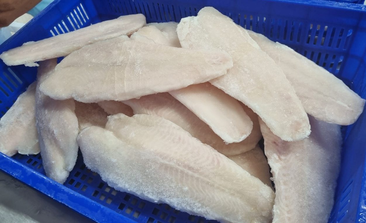 Frozen Basa Fish Fillet