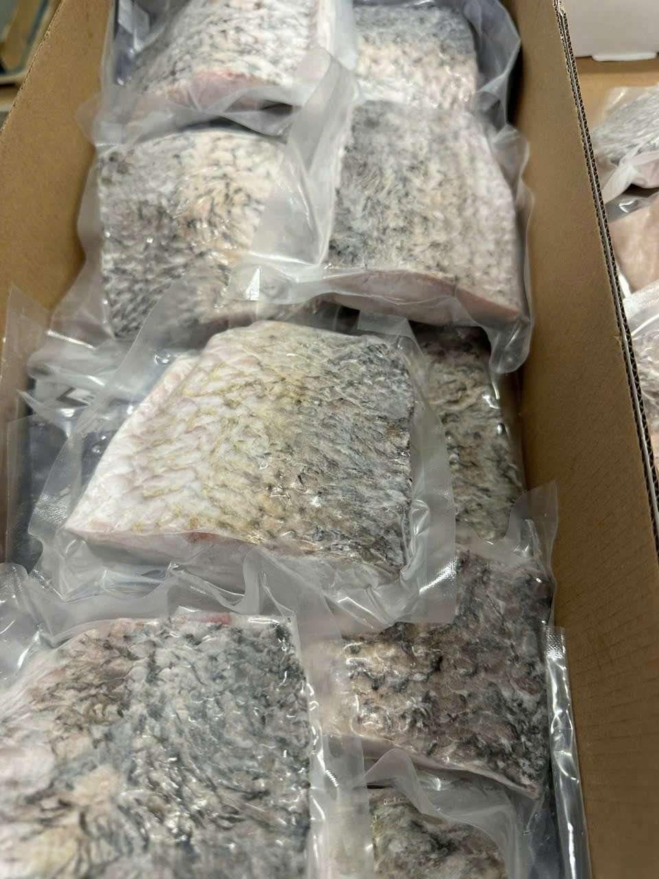 Frozen Sea Bass Fillet (Skin-on)