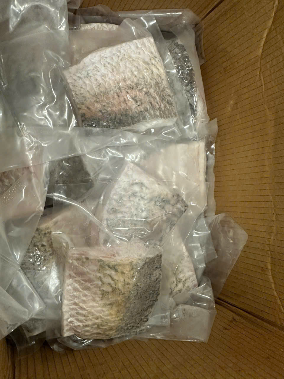 Frozen Sea Bass Fillet (Skin-on)