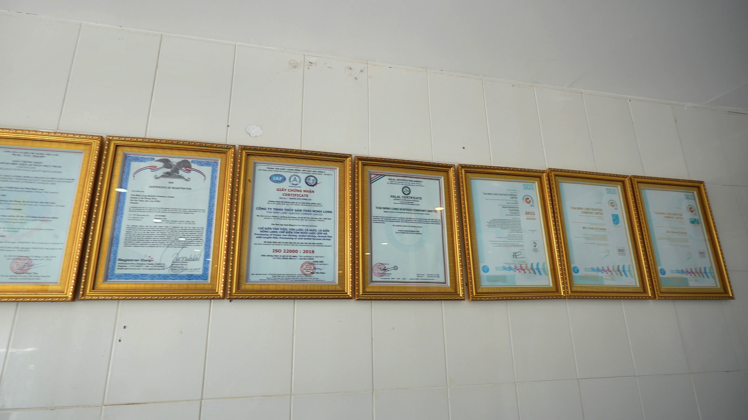 Global Quality Standards